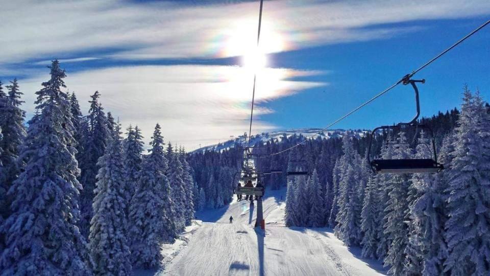 Milmari Resort Premier 46 Kopaonik Extérieur photo