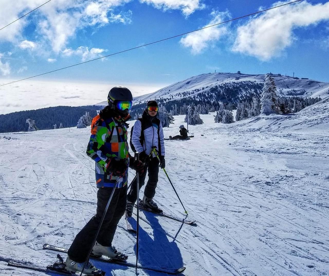 Milmari Resort Premier 46 Kopaonik Extérieur photo